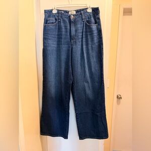 Universal Thread Women's High-Rise Wide Leg Jeans - Size: 10R